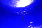 Used Pfaudler Glass Lined Receiver Tank, 350 Gallon, Model CVC48-350-50, 9115 Blue Glass, Vertical. 48