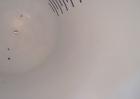 Used 1000 gallon Pfaudler Glass Lined Reciever, Model VC60-1000