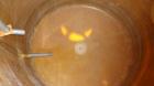 Used Air Plastics Fiberglass Storage Tank, 2050 Gallons, Vertical. Approximately 84