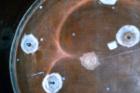 Used Air Plastics Fiberglass Storage Tank, 18000 Gallon