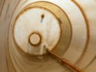 USED: Empire Products tank, 10,000 gallon, fiberglass, vertical. Approximate 9' diameter x 256
