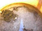 Used Owens Corning 1000 Gallon Fiberglass Vertical Storage Tank.