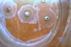 Used 400 Gallon Fiberglass Viatec Tank
