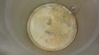 Used 225 Gallon Stainless Steel Kettle