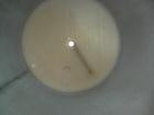 USED: Tank, 275 gallon, 304 stainless steel, vertical. Approximate 36