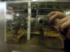 Used 500LU Stainless Steel Lee Industries Tank