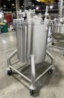 Lee Industries 100 Gallon Stainless Steel Tank