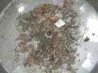 Used Tank, 300 Gallon, 316 Stainless Steel, Vertical. Approximately 52