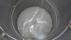 Used Tank, 200 Gallon, 316 Stainless Steel, Vertical.  Approximately 38
