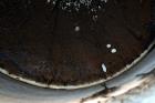 Used Tank, Approximate 175 Gallon
