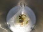USED: Walker Stainless Pressure Tank, 120 gallon, 304 stainless steel, vertical. 30