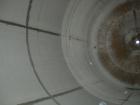 Used Northland Stainless pressure tank, 4800 gallon, 316 stainless steel, vertical. 101 1/2