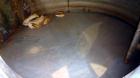 Used 2,000 Gallon Stainless Steel Tank