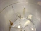 Used Tank, 3,000 Gallons, 304 Stainless Steel, Vertical. Approximate 92
