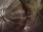 Used Tank, Approximately 2400 Gallon, 304 Stainless Steel, Vertical.