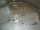 USED: Approximate 1000 gallon stainless steel tank. Approximately 6' diameter x 5' straight side. Flat top and bottom, insulated..