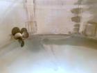Used Alloy Fabricators Inc. Pressure Tank, 2500 Gallon