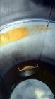 Used 1,500 Gallon Stainless Steel Apache Stainless Tank