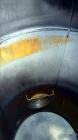 Used- 1,500 Gallon Stainless Steel Apache Stainless Tank