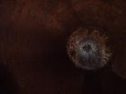 Used Central Fabricators Inc. Tank, Approximate 1,400 Gallon, 304 Stainless Ste
