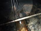 Used 1,900 Gallon Stainless Steel Tennessee Eastman Pressure Tank