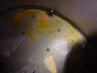 Used Mueller Tank, Model D, 2700 Gallon, 304 Stainless Steel, Vertical