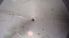 Used Perma-San Tank, 2000 Gallon, Model 2000 CVC, 304 Stainless Steel, Vertical. 84