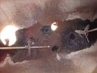Used Precision Tank And Equipment Company Tank, Approximate 2,200 Gallon, 304 S