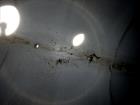 Used Precision Tank And Equipment Company Tank, Approximate 2,200 Gallon, 304 S