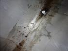 Used Precision Tank And Equipment Company Tank, Approximate 2,200 Gallon, 304 S