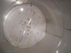 Used W.H.E Bio-Systems Inc. Tank, 4000 Gallon, 304 Stainless Steel, Vertical. 92