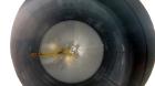 Used Par Piping & Fabrication Tank, 600 Gallon, 321 Stainless Steel, Vertical. 48
