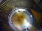 Used Feldmeier Tank, Approximate 650 Gallons, 304 Stainless Steel, Ver