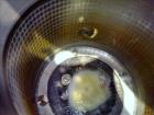 Used Feldmeier Jacketed Tank, Approximate 650 Gallons, 304 Stainless Steel, Ver