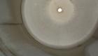 Used Lee Metal Products Pressure Tank, 500 gallon, model DBT, 316 stainless steel, vertical. Approximate 48