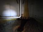 Used 6,000 Gallon Vertical Tank