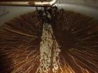 Used 6,000 Gallon Vertical Stainless Steel Tank
