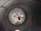 Used Tank, Approximate 5,900 Gallon, 304 Stainless Steel, Vertical