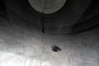 Used Andy J. Egan Tank, Approximate 5000 Gallon, Vertical