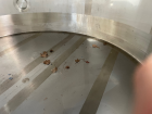 Unused - Membrane Process and Control CIP Tank, 5,000 Gallon