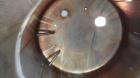 Used APV Crepaco Tank, Approximately 11,000 gallons, 304 Stainless Steel, Vertical. Approximate 138” diameter x 164” straight side, dished top, coned bottom. Approximate 60” wide section of bottom si...