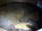 Used Acme Industrial Tank, 6000 Gallon, 304 Stainless Steel, Vertical. Approximate 192