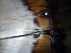 Used Bendel Corp. Tank, 11,000 Gallon, 304 Stainless Steel, Vertical. Approximately 132