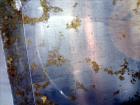 Used Bendel Corp. Tank, 11,000 Gallon, 304 Stainless Steel, Vertical. Approximately 132