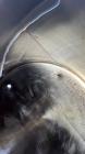 Cherry Burrell Tank, Model CV-5000, 5000 Gallon