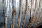 Used Canadian Pipe And Steel Fabricators Pressure Tank, 5500 Gallon, 316 Stainless Steel, Vertical. 108’’ Diameter x 128’’ straight side, dished top and bottom. Internal rated 300 psi at 200 degrees ...
