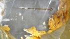 Used G.W. Taylor Tank, 6000 Gallon, 316 Stainless Steel, Vertical. Approximate 108” diameter x 144” straight side, dished top and bottom. Partial bottom sidewall dimple jacket, no rating. (4) Sidewal...