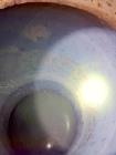 Used 5,000 Gallon Stainless Steel Tank – Vertical Storage Vessel – 90