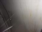 Used Walker Stainless Tank, 7500 Gallon, 304L Stainless Steel, Vertical. 132