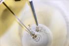 Used Steelhead Inline Mineral Injection System
